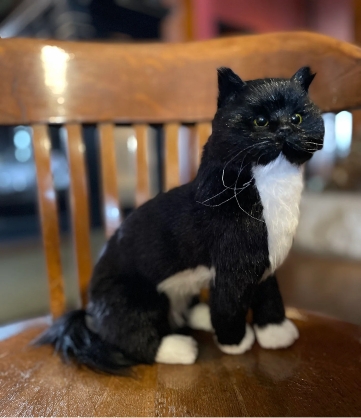 Plush of Jasper the Cat