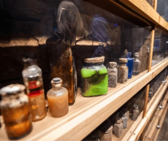 View of specimens at the Baker Cancer Curable Hospital